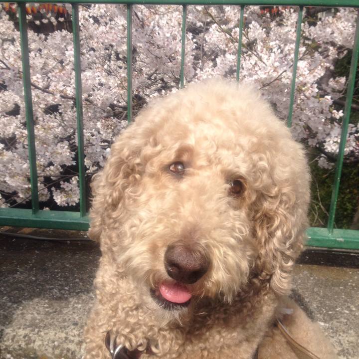 F764c6d6 93dd 47a9 8bde 883fff55893e 1521813782387