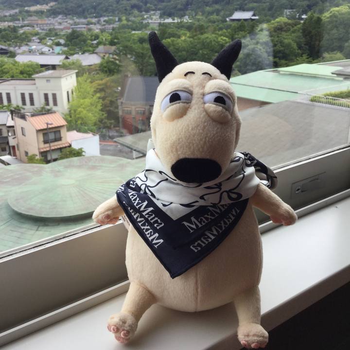 F764ddd0 4456 4bd6 aae8 3d23287e038c 1534380344296