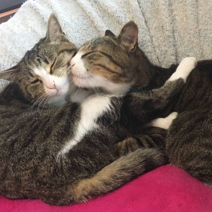 F76523e2 c894 4f4f ae5c 896d58031f5a 1669650365079