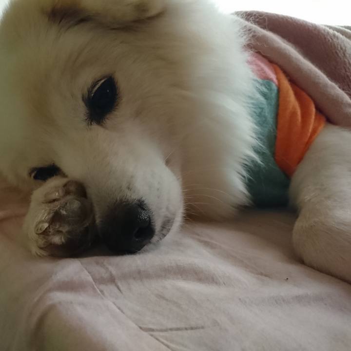 F7653bcc 15c1 44a2 b736 4bb40d25c9df 1538602859534