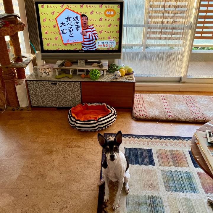 F7655215 3830 4ced 8b2c 7a3303b8fa6b 1574028911161