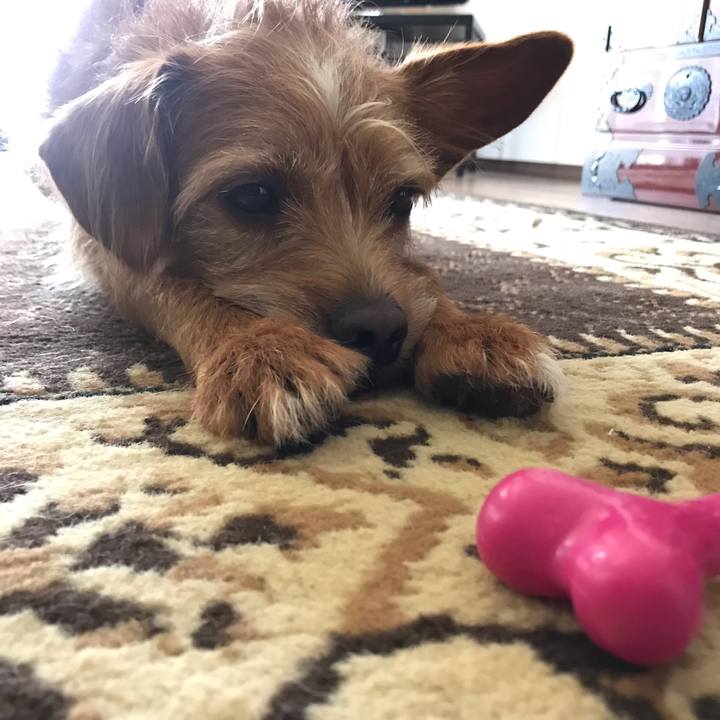 F765677a b3df 4fbf 92ac 76cf0501adc3 1587348589212