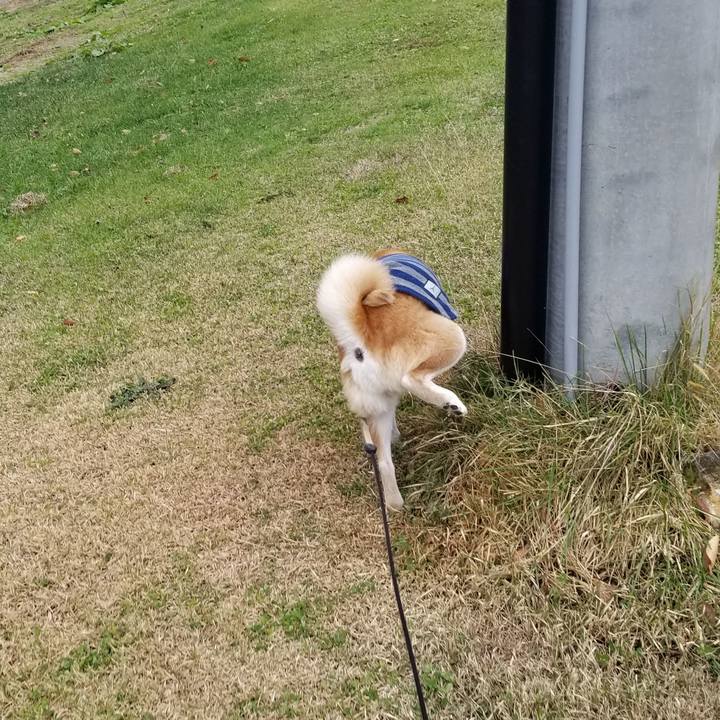 F76574dd e599 4d41 9f75 8f78f901f025 1670220129911