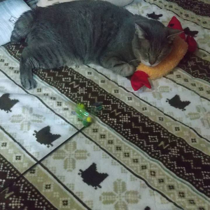 F7659805 ba9e 4160 a9ca 1a50bbd3265e 1677587335952