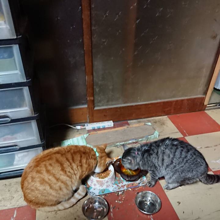 F765d23b ac1d 4b8b 9990 821cc9f45fd0 1580115347004