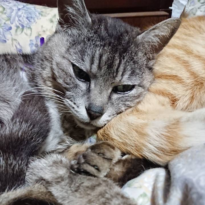 F765e2cd d1b7 476a 8943 f6be4b6279f5 1590840176776