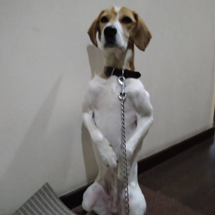 F765e6fd 3b2d 4777 9034 9fc11acb7d8d 1640183446460