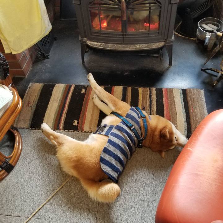 F766ee05 c133 40ed 91a0 b0237cbe69e7 1550447714843