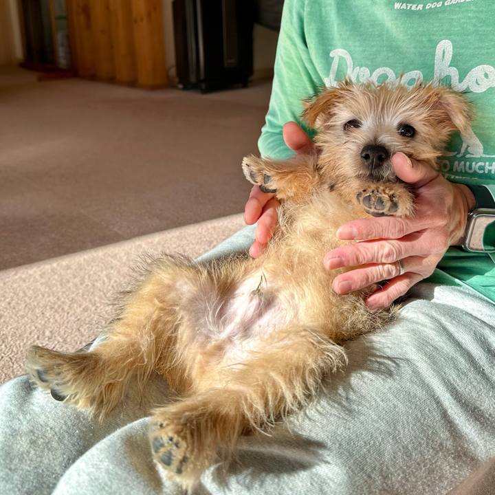 F766ee73 6d9f 407a af02 4593ba38b819 1702228663244