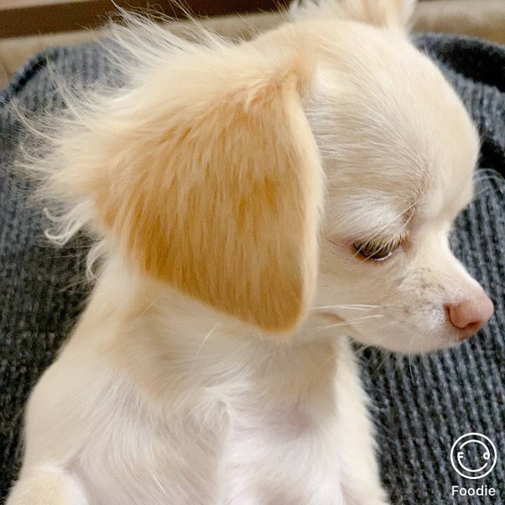 F76712ad 6168 495b 8190 f98a01132b41 1604822203411