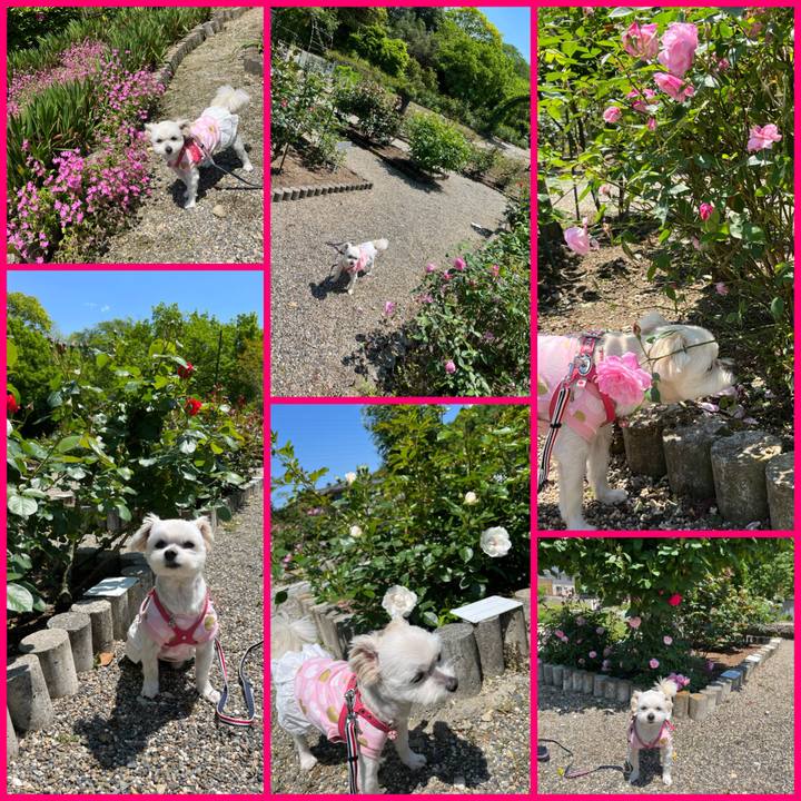 F7671443 c159 4e2f 8a56 6ce565d94964 1651467557520