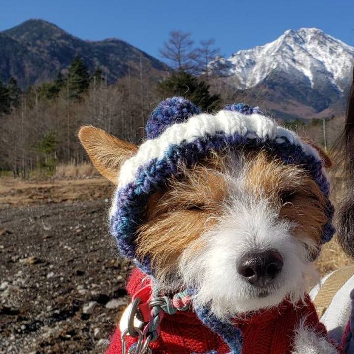 F7672dae 5dba 41dd a2ab e9db722c5390 1638689042598