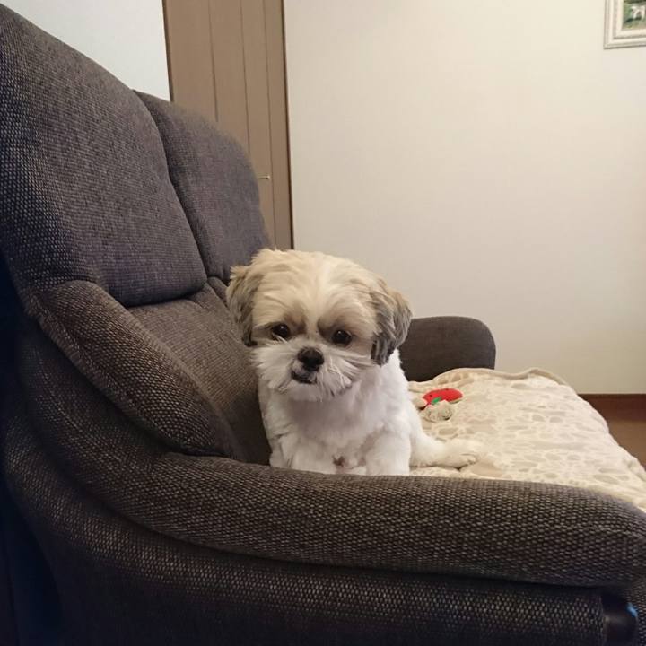 F7673434 e19f 48a0 bf5c 53d6c9365a97 1536049937694