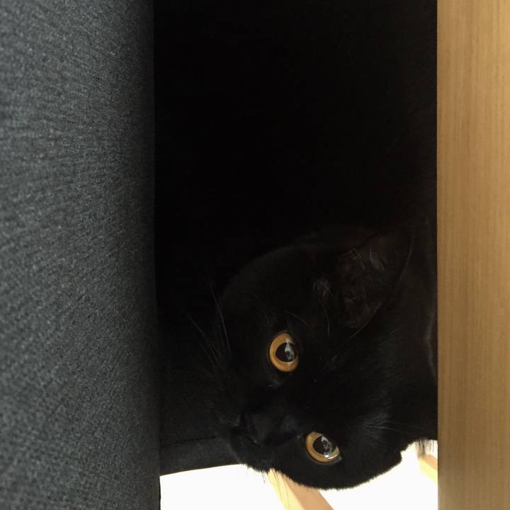 F7673666 0852 4817 837b 7efa91c46bac 1538385471150