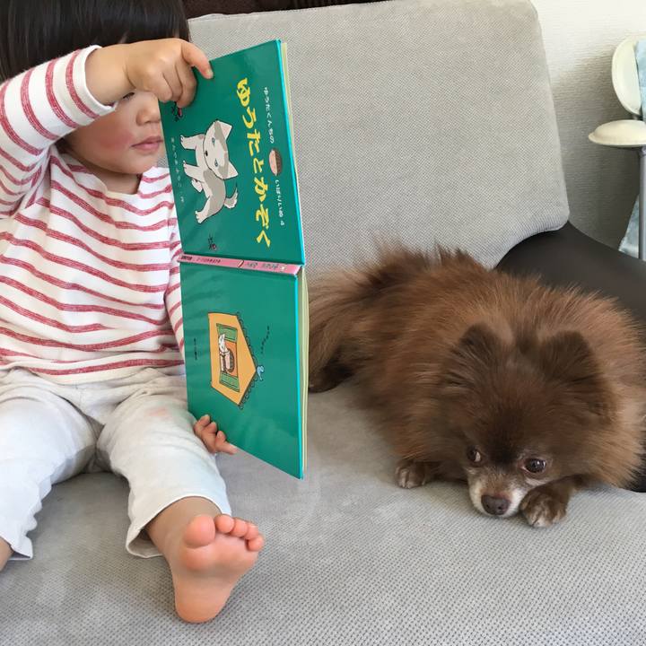 F7673abe 6aac 4bf6 90c5 44b34cf1d10c 1520645239908