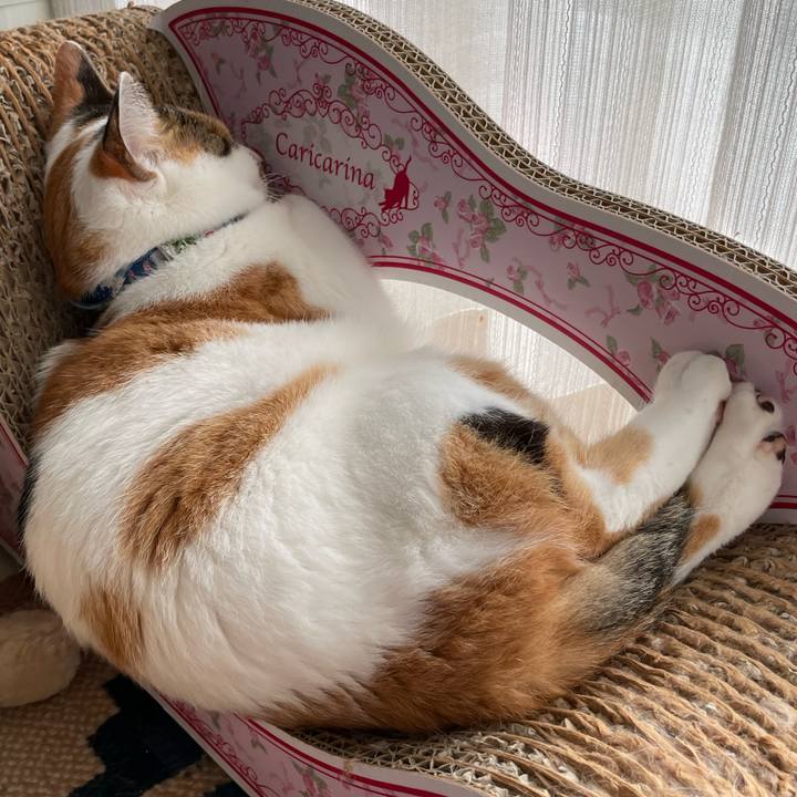 F7673b4c 6a6c 46d9 aa97 956bc0433a86 1695450723441