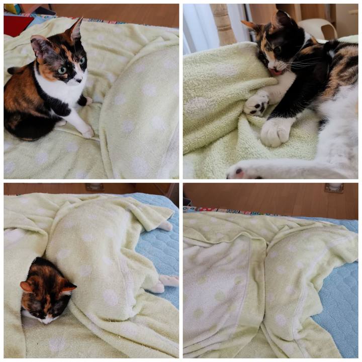 F7678b87 4b54 4486 8152 b2b5fab0f050 1627460994949