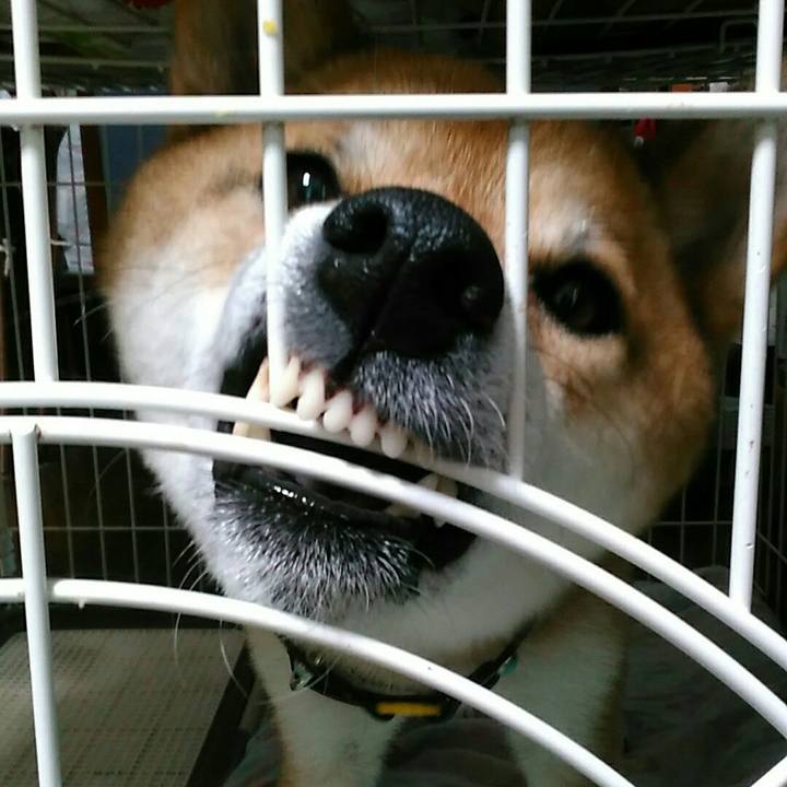 F767e130 2ff4 44c7 a1d2 c64c6fcd3703 1566373837462