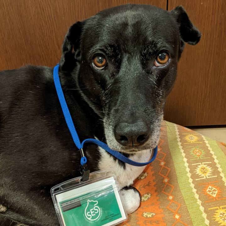 F76831d7 3b80 4b06 a604 b327f740349b 1700823946360