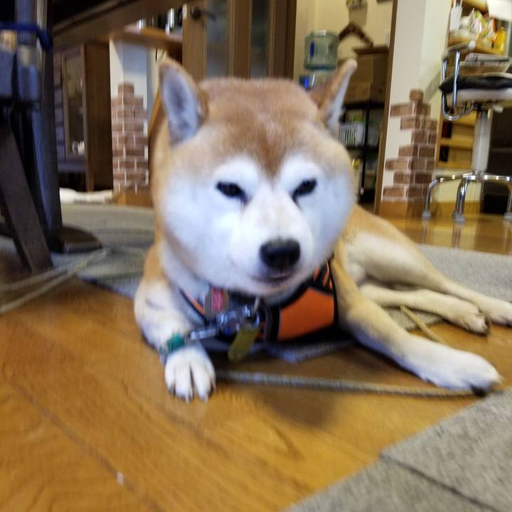 F76843e1 dbb0 45e2 a275 2e0db1ddd55b 1604903963216