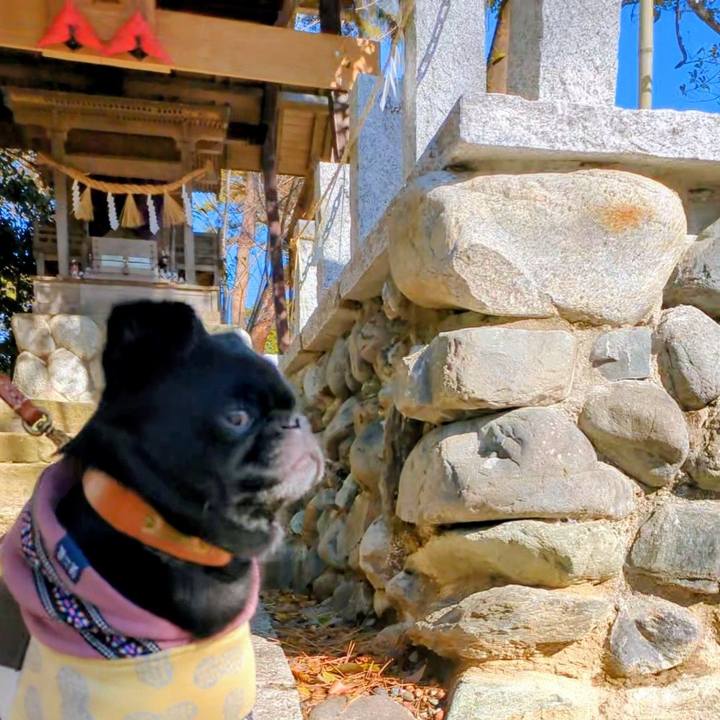 F76875bc 71ff 4836 b59c 3ddc2df3b20a 1766905027192