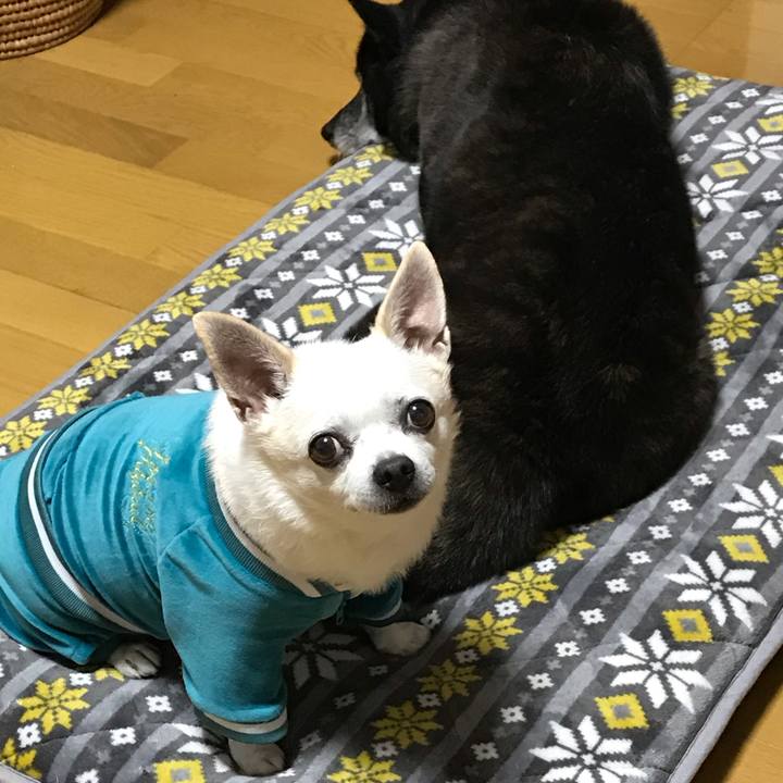 F768a579 f4db 4b58 9cfd 7a17d15cbfc7 1573536693548