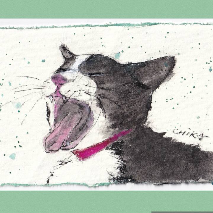 F768be8a 646c 4b74 a355 1e45d66446b6 1766914179603