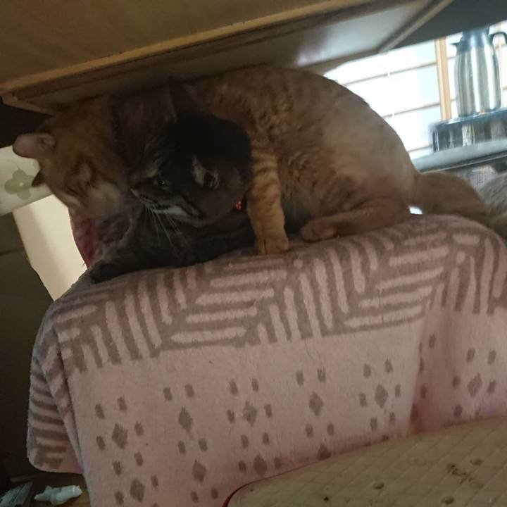 F768d0f9 08f0 4b1c aedc 2d2fb8a6a4d9 1654503536139