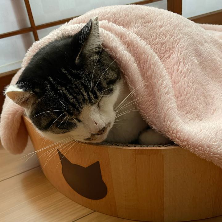 F768dfed 557c 4853 91e7 10797cb4d17b 1665016660680