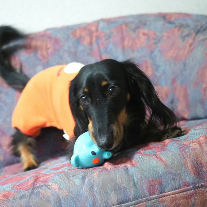 F768fd29 9b2e 4ab5 b068 ee4e9ec7dd08 1549337403721