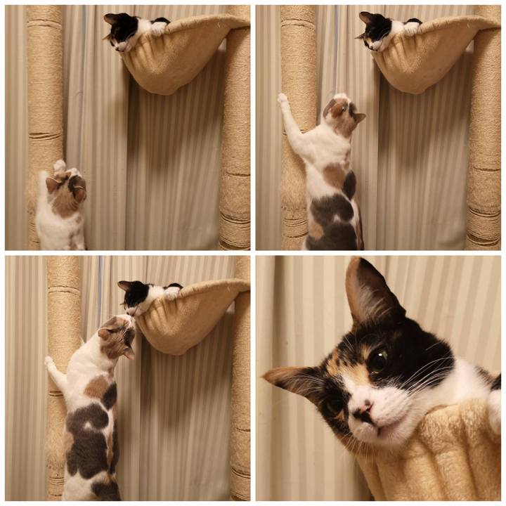 F768fe3e a480 4359 aca4 16f1098bda17 1615356672698