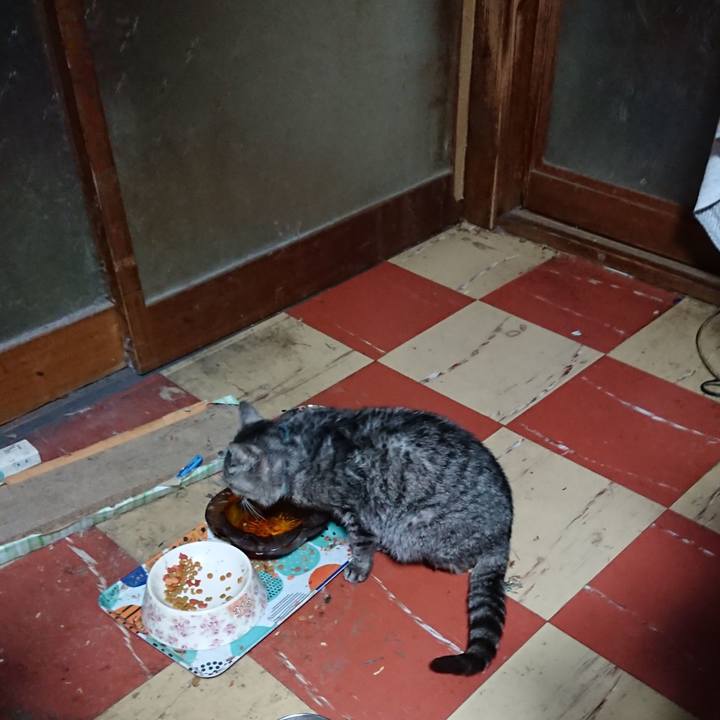 F7693674 026e 42f6 9664 c225175f438f 1576702703774