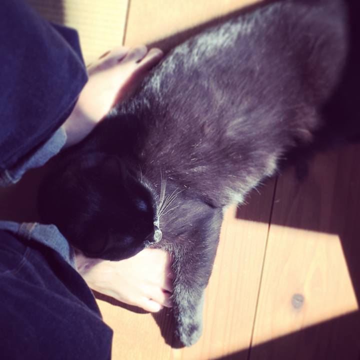 F76938ef 87ac 4af1 b57c b2b3ab7f8cd1 1509591944949