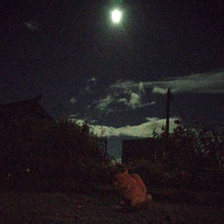 F769509b 7093 4b6f a2b2 53b30c6637b9 1695904619000