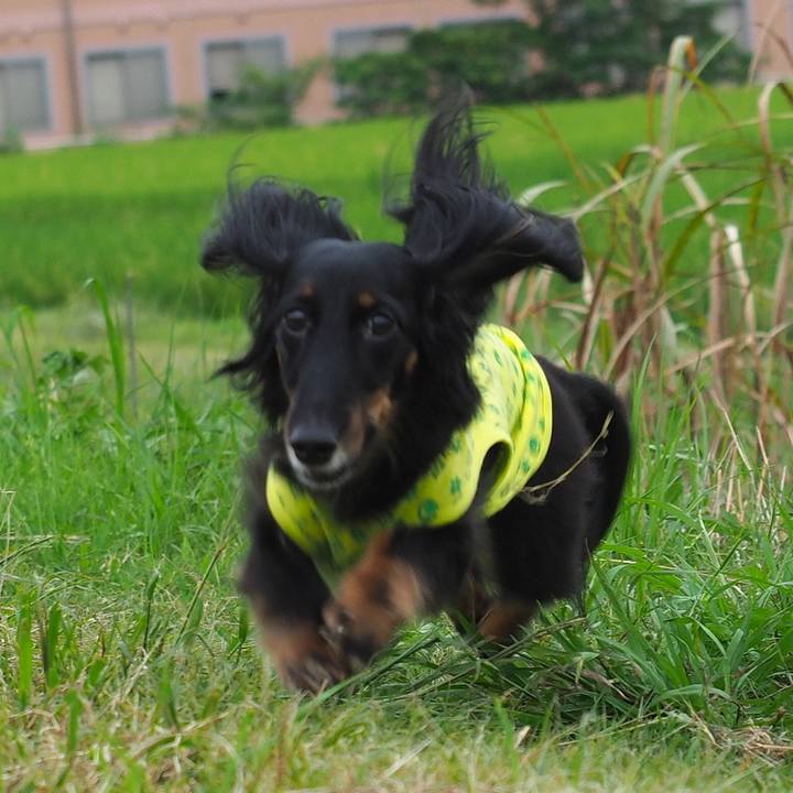 F76960b9 9091 4a79 bca0 f4327aadc27c 1631434554150