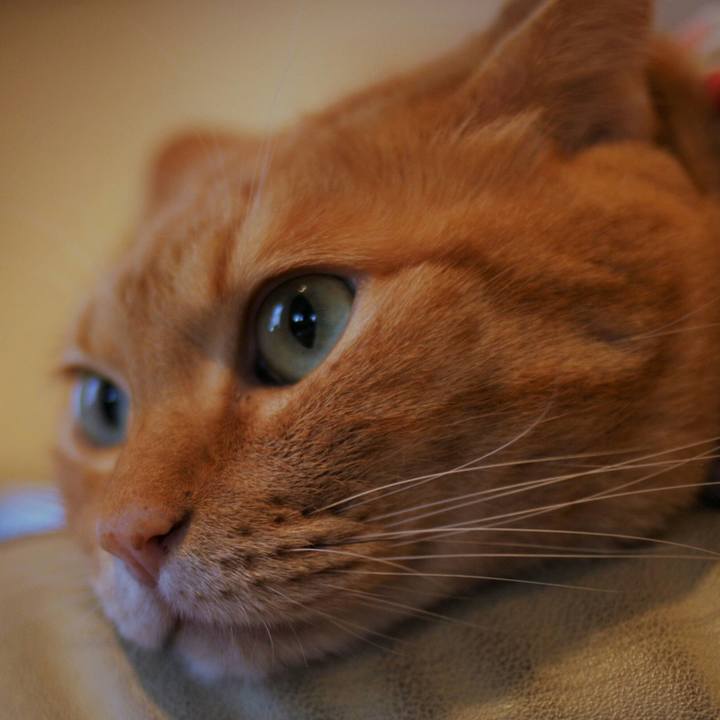 F7696c1e 540f 4597 b369 f81a944ad49d 1509791279208