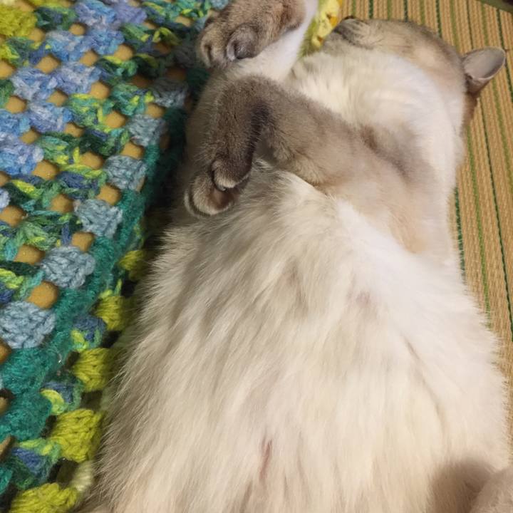 F7697c9b 7378 4430 b594 b00e91b85731 1559442166539