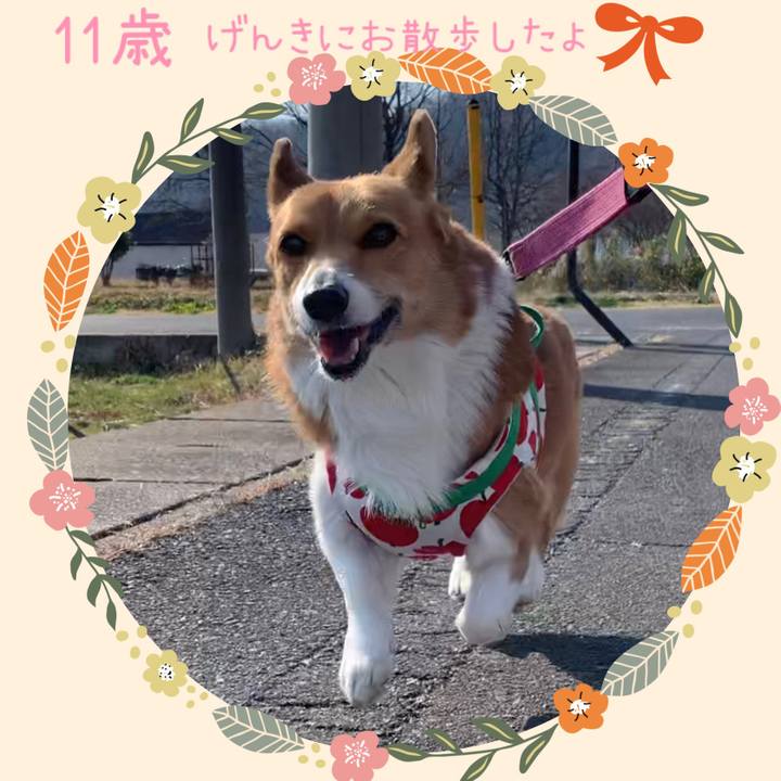 F769a87d 0859 4254 a8b7 b080caff2f30 1646393834594