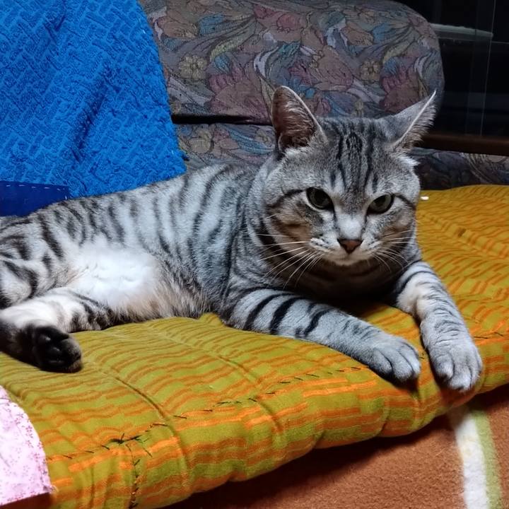 F769ae14 98ad 4a47 87e4 3465019d64a5 1686048083539