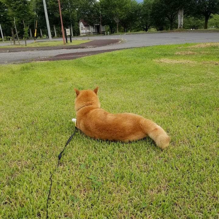 F769ba8f 8b73 4e31 a8e8 a62553df8e6c 1593499671729