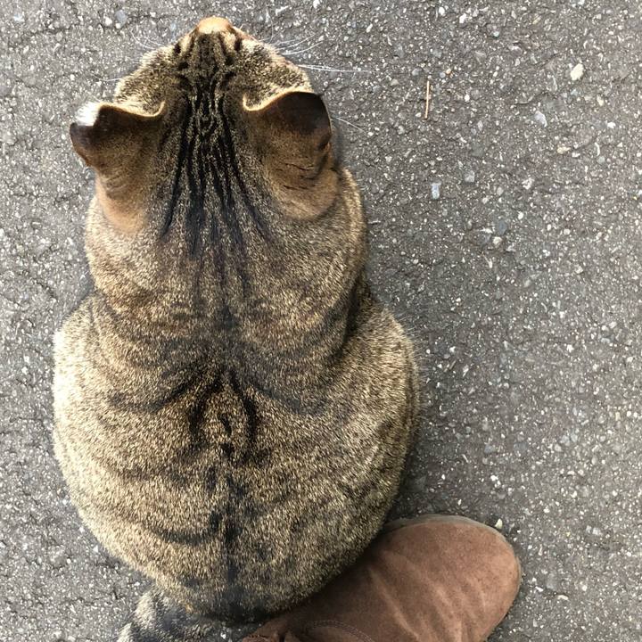 F769dd01 2694 4dff b286 7c507b120704 1514503735630