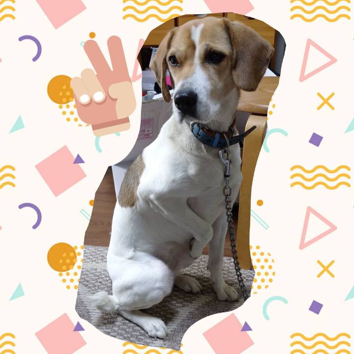 F769f7b6 ed95 4688 88b4 82331b771d9b 1610164289151