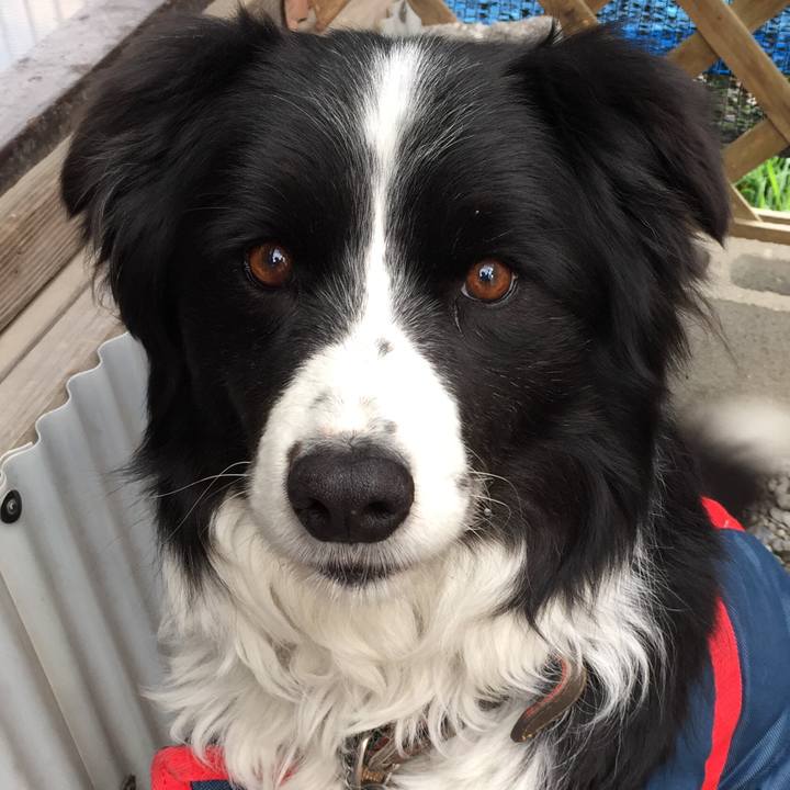 F76a0fd1 6c78 41ef 94d9 dc41b1d9bdce 1550103707811