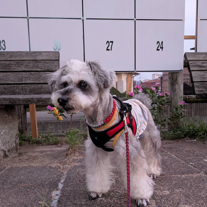 F76a1c75 e7ff 4c52 9c55 24d10b755da2 1755866863043