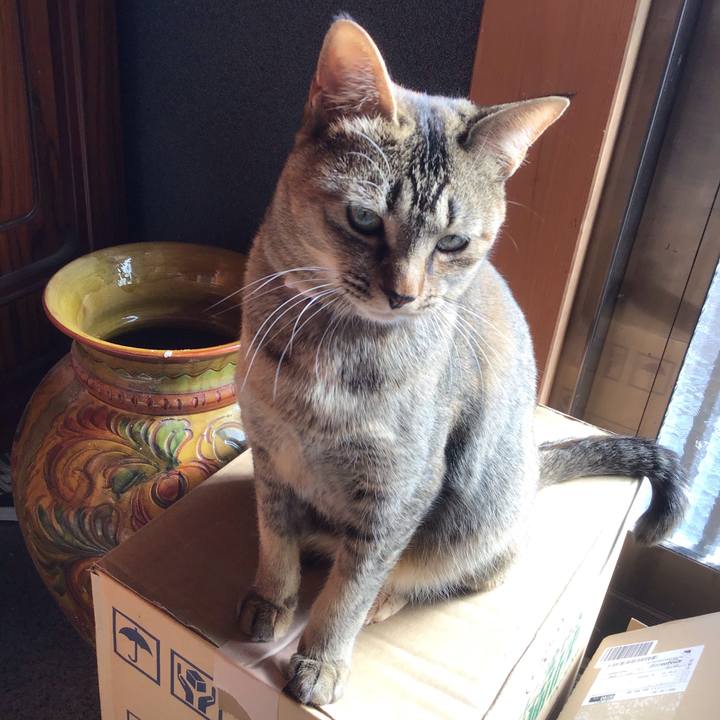 F76a38f4 7e7f 4417 a458 b479ac4080af 1581142794684