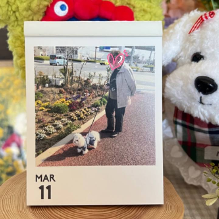 F76a3b82 0c12 4f5c 8e53 5ff08de5292d 1773276893732