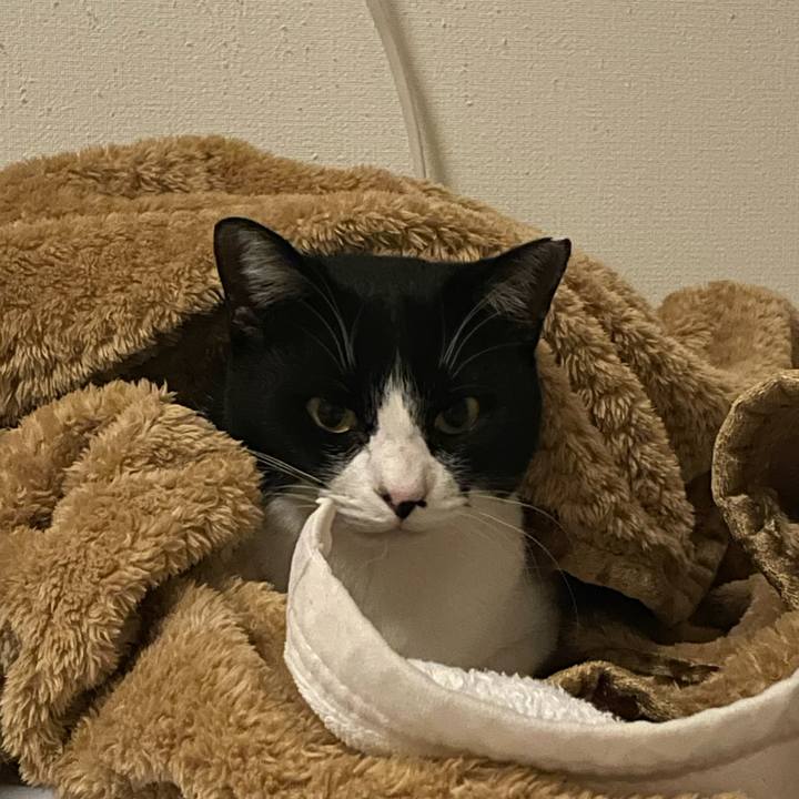 F76a3d52 6a42 4d33 90f2 7df78a99f23f 1705235616937