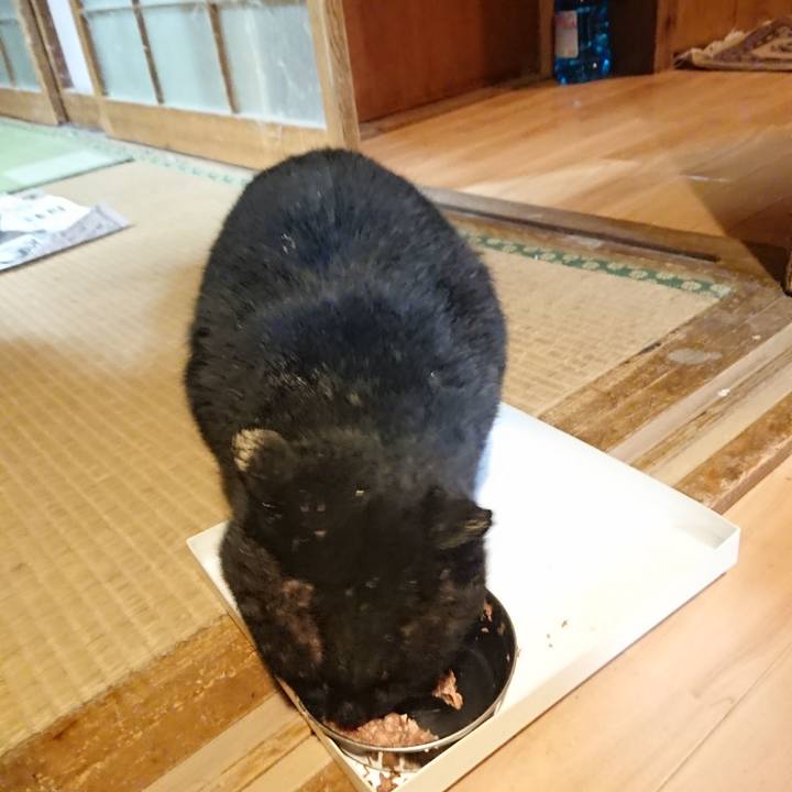 F76a4256 31fe 4f02 9f1c 303bab62b1ab 1616064908333