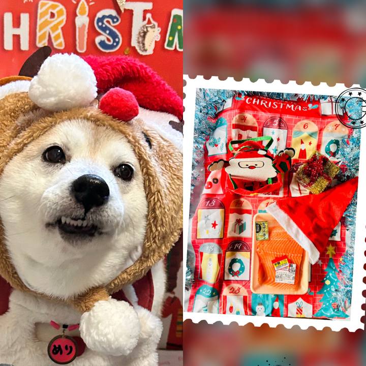 F76a44bd 8b47 4fcc 8df4 7fc2a0a25792 1735086158599