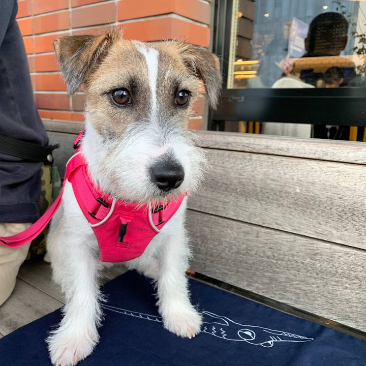 F76a4576 89b1 4a81 bbe1 40935566bd0e 1572164602159